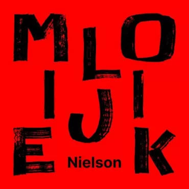 Nielson - Moeilijk