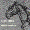 Nieuwe Single Littlemen – Wild Horses !