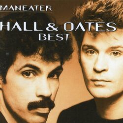 Hall & Oates - Adult Education