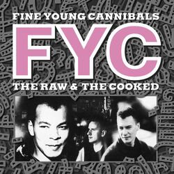 Fine Young Cannibals - She Drives Me Crazy