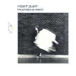 Robert Plant - Big Log