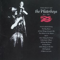 The Waterboys - A Girl Called Johnny